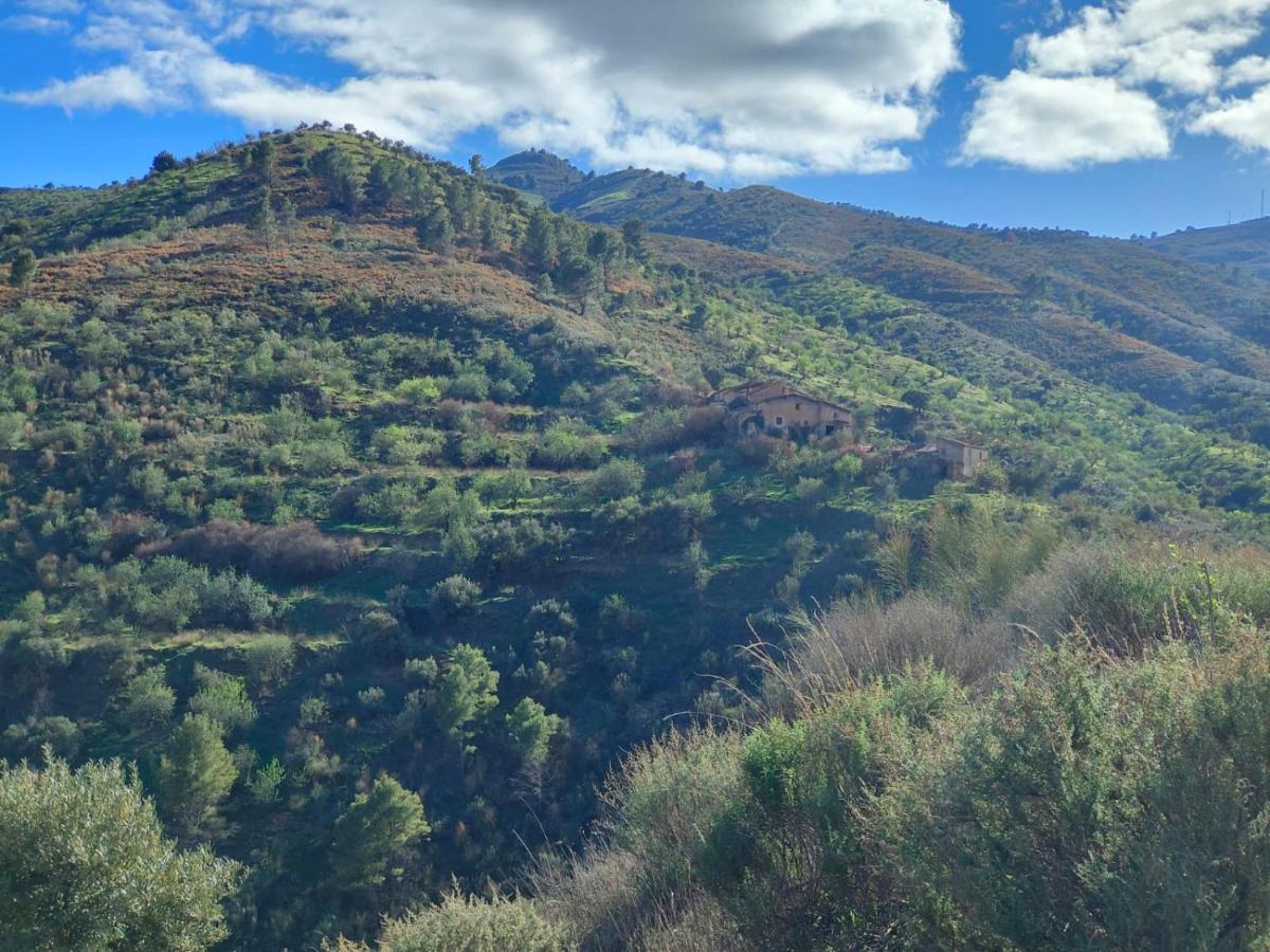 Cortijo Vacas Gordas B&B Castell de Ferro Exterior foto